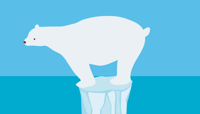 少ない海氷の上のホッキョクグマ