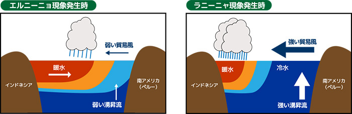 エルニーニョ現象とラニーニャ現象の仕組み